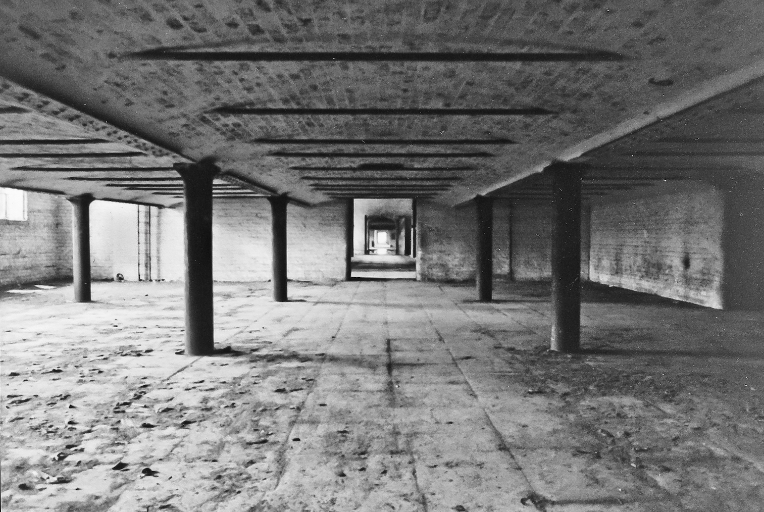 Albert Dock, 1982 by Alan Cookson