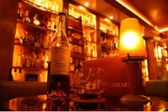 brandy_library_in_newyork.jpeg.size.xxlarge.letterbox